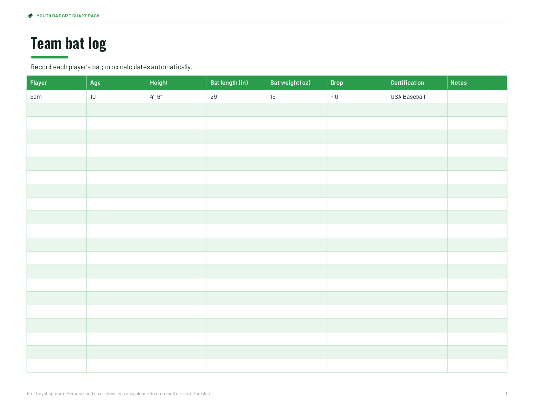 Preview of the first page of Team bat log (XLSX)